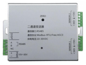 Dual channel digital amplifier HY-FD02